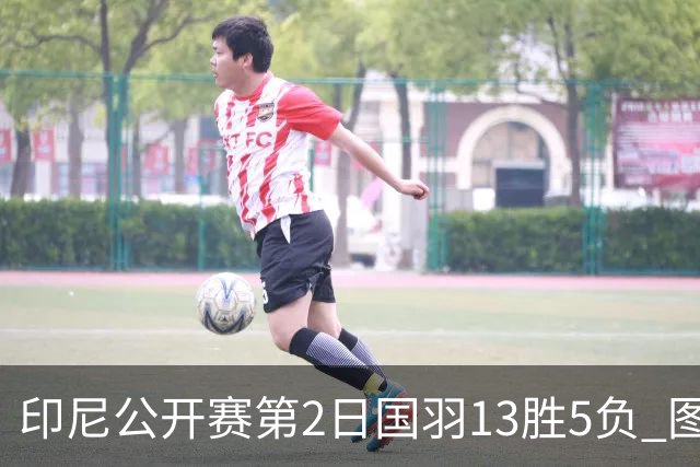 印尼公开赛第2日国羽13胜5负 图欧组合遭逆转出局