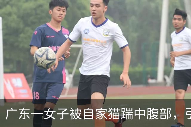 广东一女子被自家猫踹中腹部，引发卵巢黄体囊肿破裂，当事人：猫体重约12斤，当时出现应激反应，医生提醒：月经后半周期要注意保护腹部