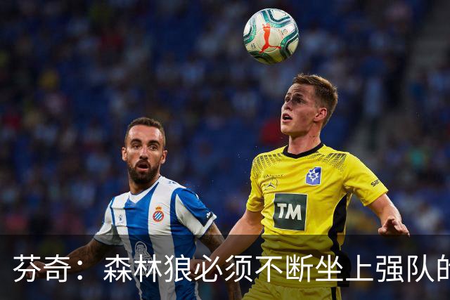 芬奇：森林狼必须不断坐上强队的牌桌 终有一天能实现夺冠突破